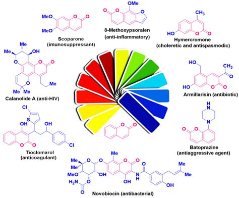 A major role of coumarin.